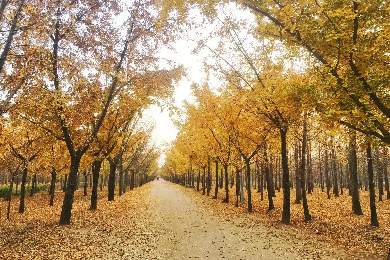 ������ҵ�ֹ����޸ġ�ʪ�ر��������涨���ľ���