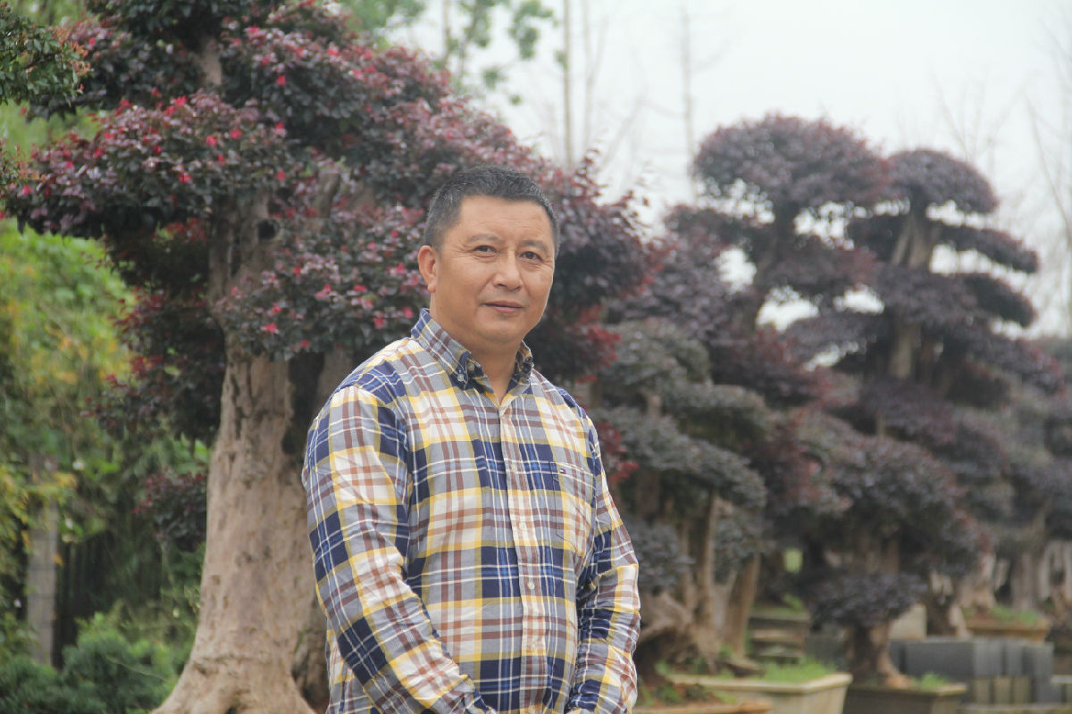 ��˹�ԣ�G20����԰����ҵһ����������Ĺյ�